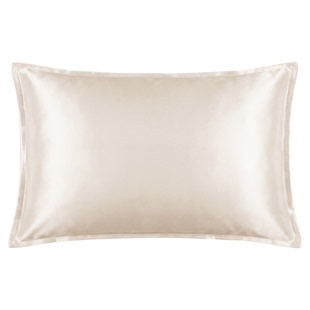 22姆米儿童真丝枕头100桑蚕丝透气助睡眠方程式真丝枕芯套单只拜