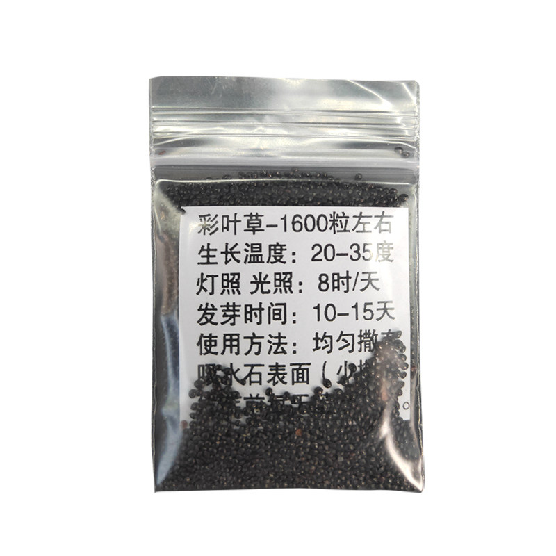盆栽盆栽微景观草种子小叶