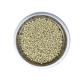 重庆本地新冬豆青绿皮土黄豆椭圆形农村自留种非转基因一件包邮