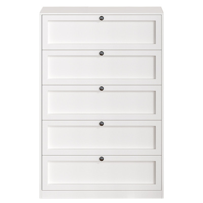 加厚碳钢加大容量无异味五斗柜