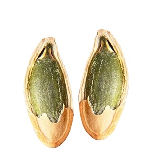 正宗美人甲南瓜子新货大颗粒皮薄仁大宿舍办公室休闲小零食批发