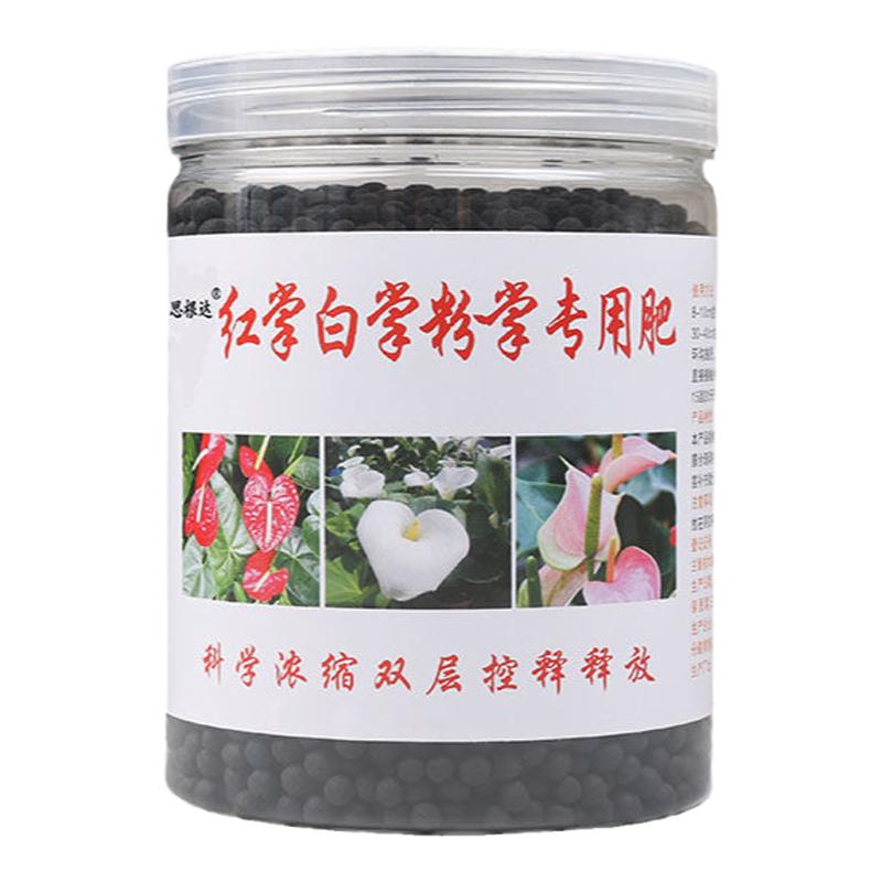 红掌白掌专用肥料粉掌中国红肥料