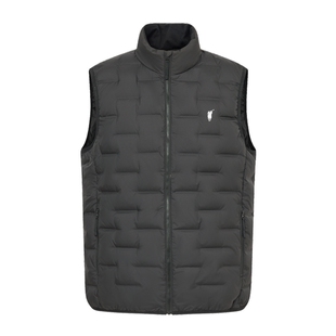 POLOWALK男式羽绒马甲2025冬季新品绅士简约90鸭绒立领保暖背心男