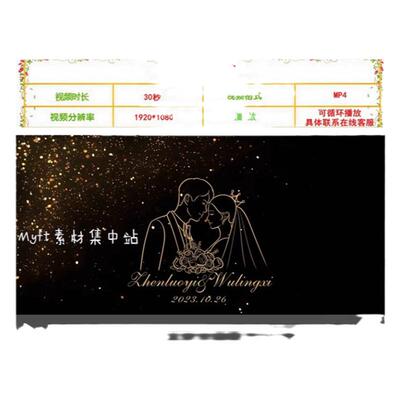 香槟色婚礼手绘剪影LOGO设计定制背景 香槟金LED屏幕高清视频制作