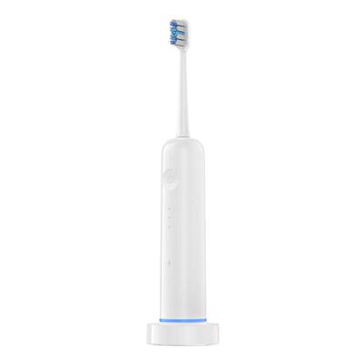 全自动电动牙刷情侣家用扫振充电式清洁口腔护理牙刷礼品