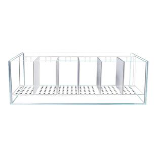 佐黎泰国斗鱼专用排缸多格组合孔雀鱼国斗鱼缸隔离超白玻璃组缸