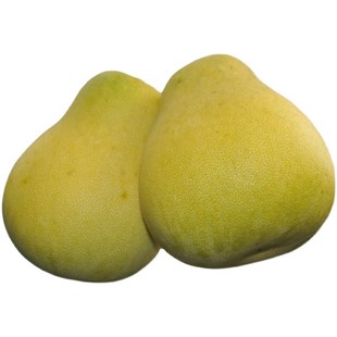 湖南怀化雪峰柚冰糖柚芷江麻麻柚香柚小苦柚脆甜爆汁孕妇当季水果