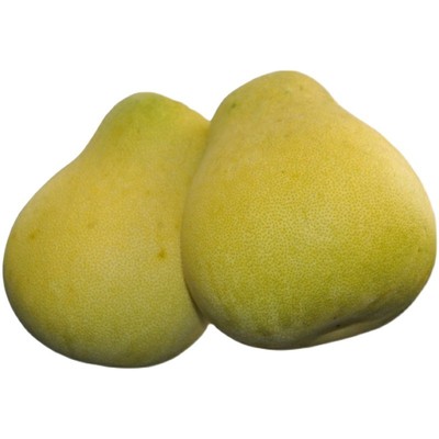 湖南雪峰柚当季水果新鲜老树柚