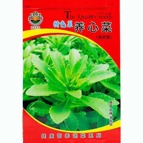 高钙养心菜种子种籽苗救心菜孑特色蔬菜四季青菜秧苗盆栽阳台菜苗
