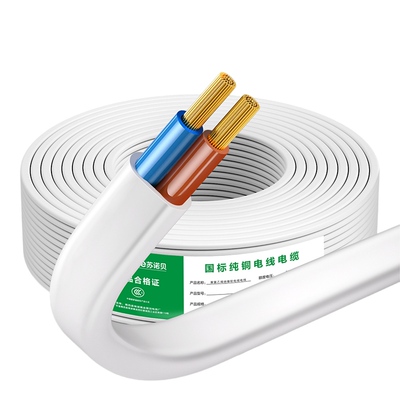 国标纯铜2芯电线支持送检