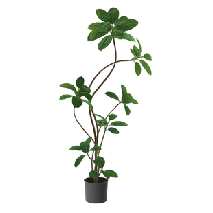 假绿植装饰仿真室内盆栽大型落地摆件客厅轻奢防真绿色植物黑金刚