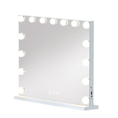 LED化妆镜带灯大号宿舍桌面