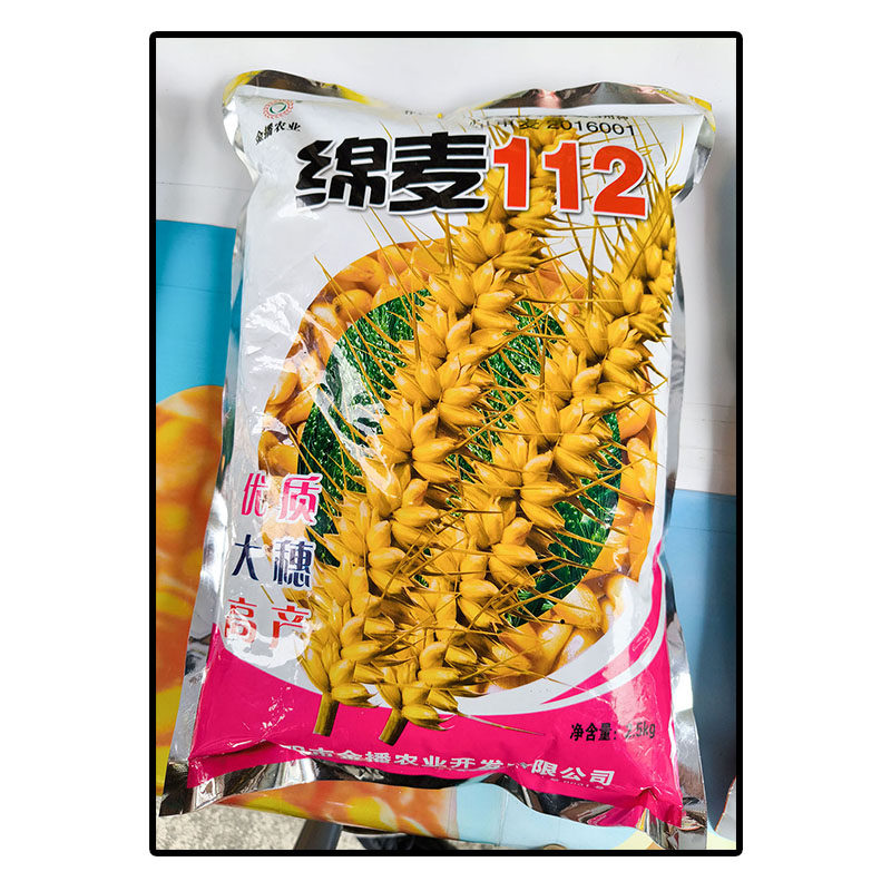 绵麦112原袋装小麦子种子红色粒