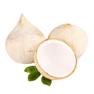 泰国丹嫩沙多进口小奶椰皇香水椰煲鸡汤老椰子孕妇新鲜水果包邮