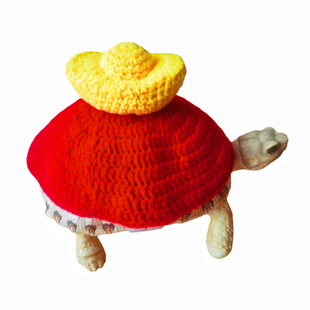 新款乌龟衣服可定制小乌龟毛衣水龟陆龟通用手工钩织宠物用品包邮