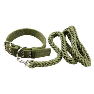 狗狗牵引绳大中型犬狗链子拉布拉多专用土狗脖圈金毛狗链条栓狗绳