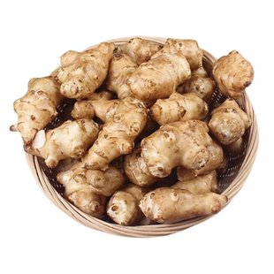 正宗洋姜新鲜现挖的野生姜鬼子姜阳姜泡菜用腌制酱菜咸菜当季菊芋