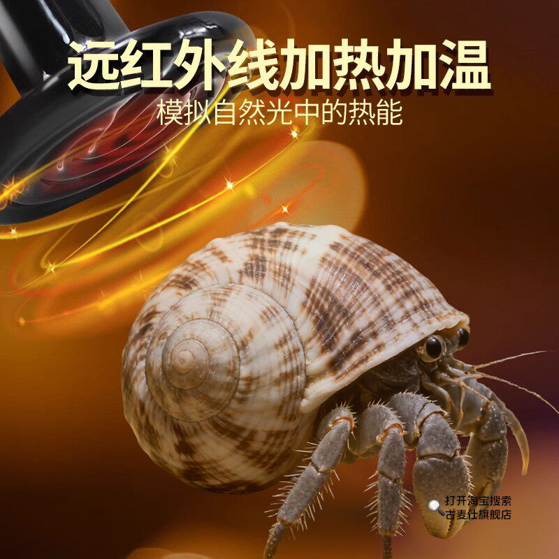 陆龟专用加热灯爬宠冬季保温灯乌龟螃蟹饲养箱恒温取暖器陶瓷灯泡