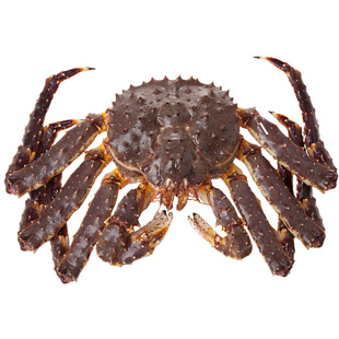 【包活】帝王蟹鲜活海鲜水产俄罗斯进口特大皇帝蟹大螃蟹年货送礼