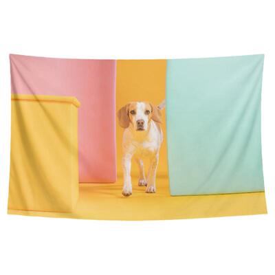 卧室装饰背景布挂布挂毯画