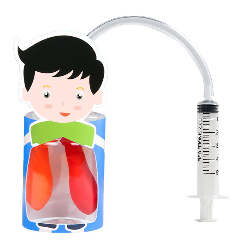 幼儿园科学小发明模拟肺的呼吸学生手工制作材料diy实验教学模型
