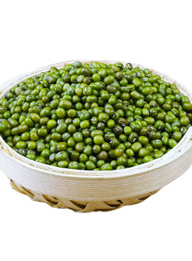 东北绿豆新鲜农家绿豆可发芽皮薄颗粒饱满绿豆粥冰沙五谷杂粮