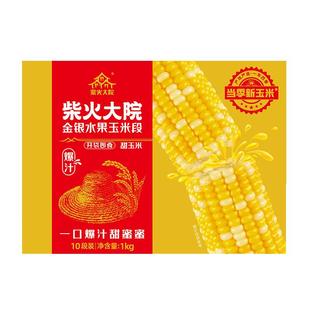 柴火大院水果玉米段开袋即食金银粒甜玉米10段轻食早餐代餐新玉米