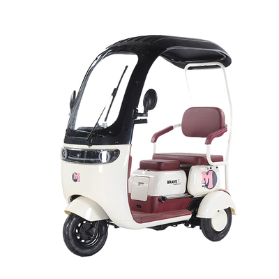 老年人步休闲封闭双排三轮电瓶车