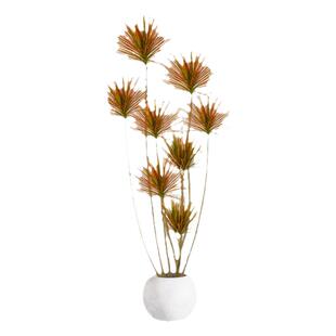 千年木客厅绿植高级感室内大型盆栽植物好养七彩铁龙血树造景真树