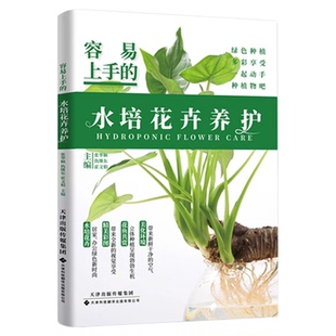 容易上手的水培花卉养护正版彩色图解 常见水培花卉的日常养护及病虫害防治知识 适合家庭栽培养护的花卉的水培制作和养护技巧书籍