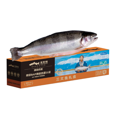 龙羊峡三文鱼整条礼盒高原虹鳟