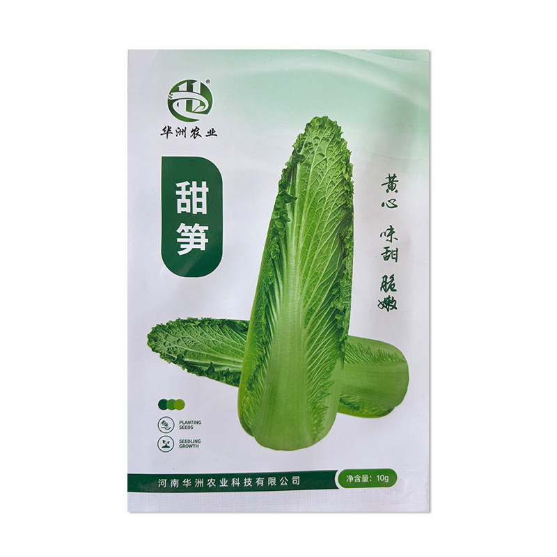 华洲农业甜笋白菜种子
