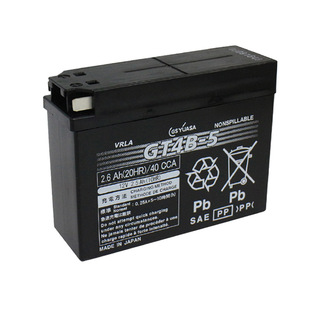 GS汤浅YT4B GT4B-BS FT4B GT4B-5 TTR50摩托车12V2.5AH电瓶蓄电池