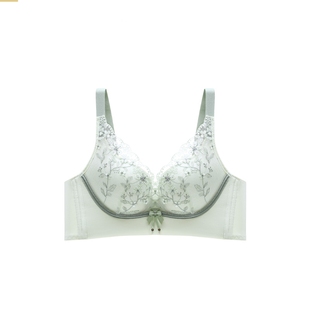 内衣女品牌专柜正品都市内衣大胸显小胸丽人文胸聚拢无钢圈收副乳