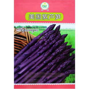 紫芦笋种子菜春季蔬菜种籽紫色激情夏秋冬季菜孑高产基地水果芦笋
