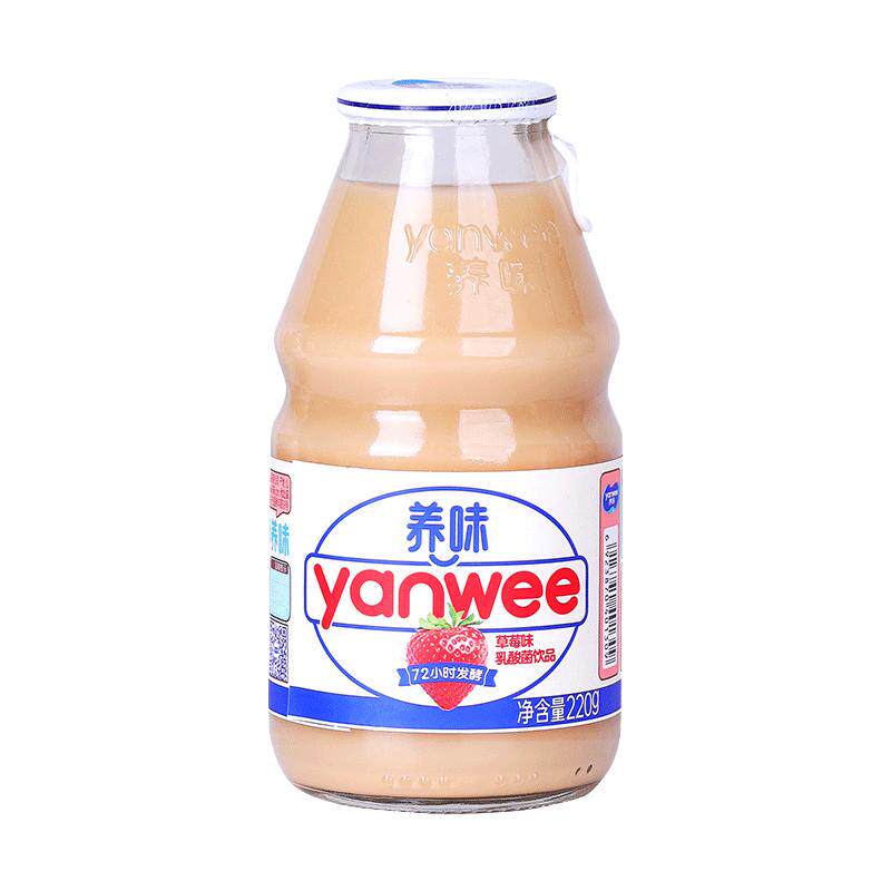 养味乳酸菌饮品72小时发酵
