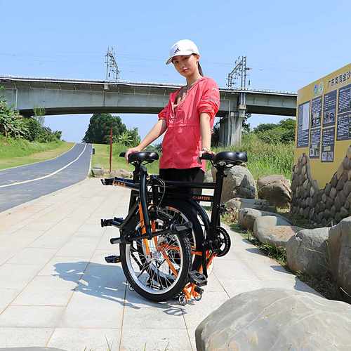 四折叠可推行变速父子母子带娃情侣两人骑观光三人双人亲子自行车