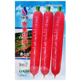 水果胡萝卜种子生吃脆甜透心红萝卜罗卜种籽夏秋农家菜园蔬菜种孑