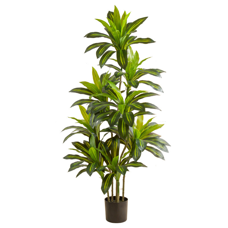 室内大型绿植装饰摆件仿真巴西木