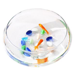 玻璃花盆 碗莲 睡莲 铜钱草 荷花水培植物花瓶 鱼缸 大口径花瓶