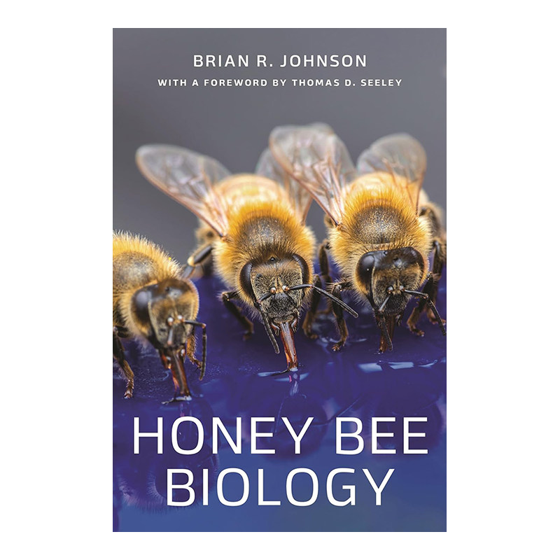 蜜蜂生物学HoneyBeeBiology英