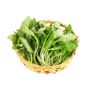 新鲜野菜上海崇明马兰头菜山坡菜鸡儿肠叶菜凉拌包邮产地现摘现发