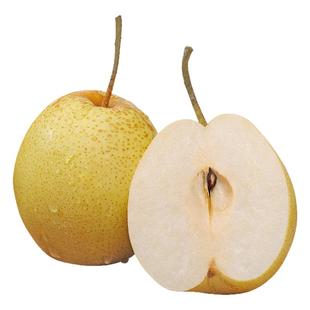 正宗山西雪花梨煮冰糖雪梨水整箱脆甜多汁新鲜水果梨子