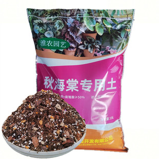 秋海棠专用土白冰海棠土鳟鱼海棠土竹节海棠通用营养土盆栽种植土