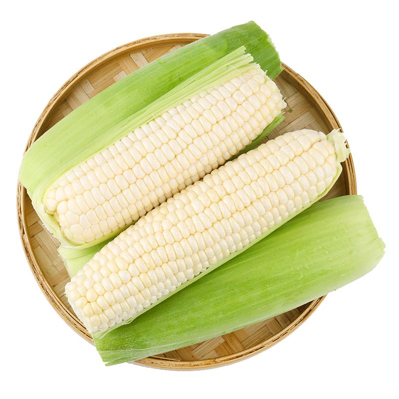 順豐包郵爆漿牛奶冰糖玉米水果玉米現(xiàn)摘新鮮開袋即食可生吃玉米棒