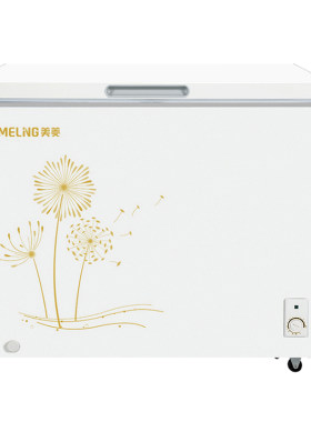 美菱大冰柜家用小型商用冷冻柜