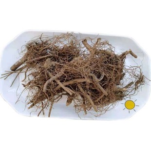 野生黄菊花根干品 野山菊根农家自挖500克自然晒干 实拍