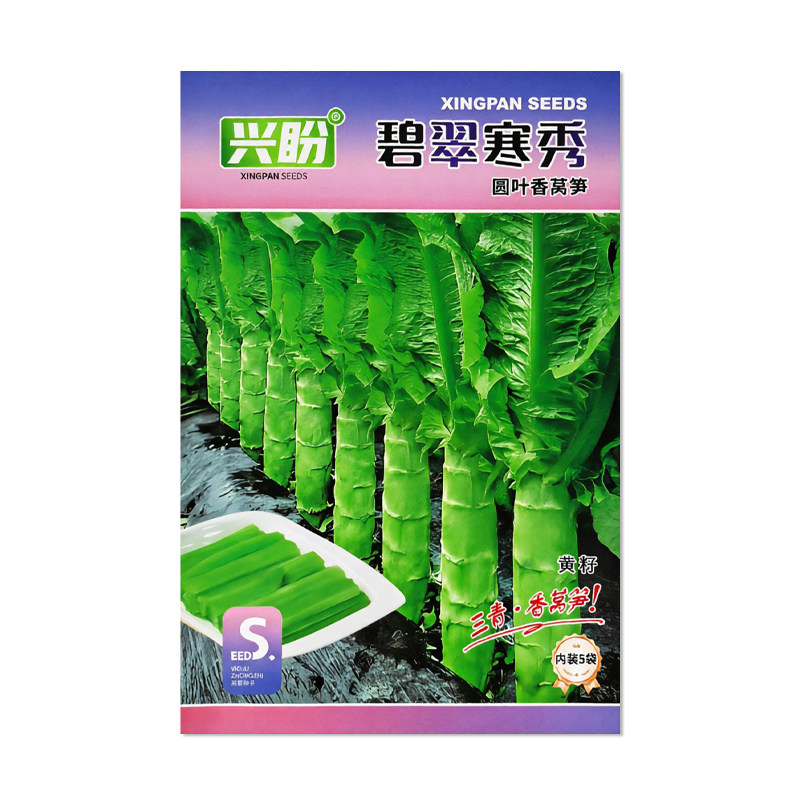兴盼碧翠寒秀圆叶香莴笋种子