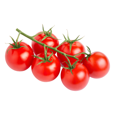 【30天爆果】矮生番茄苗耐寒抗冻