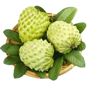 X-PLUS凤梨释迦果5斤云南新鲜牛奶番荔枝牟尼果整箱水果10大果